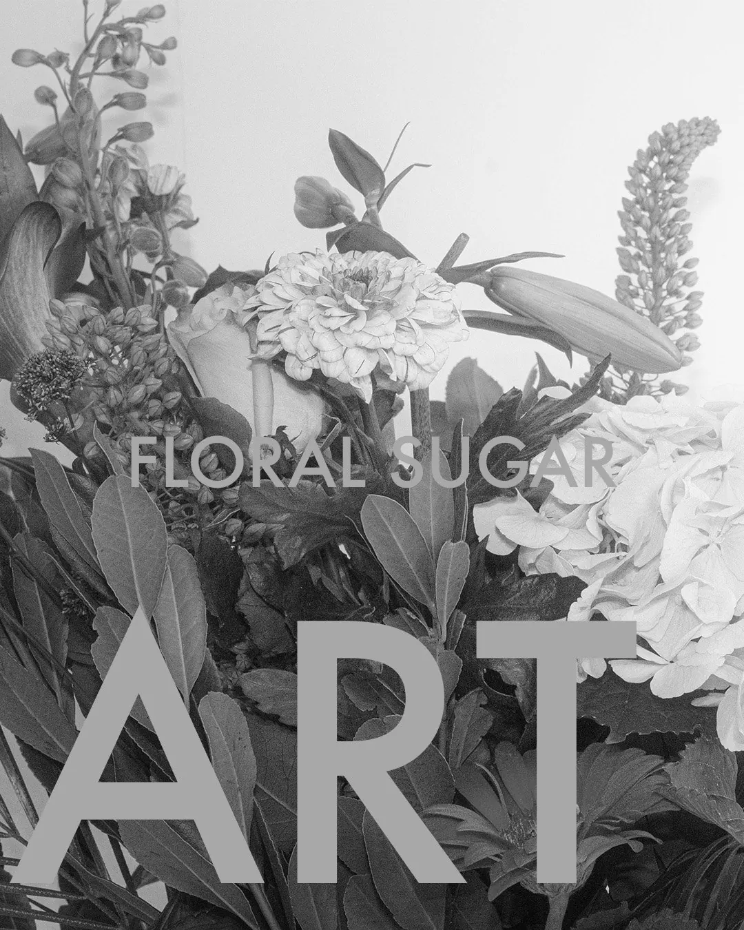 Kadin Fragrance / Floral Sugar / Shoot / 8/10