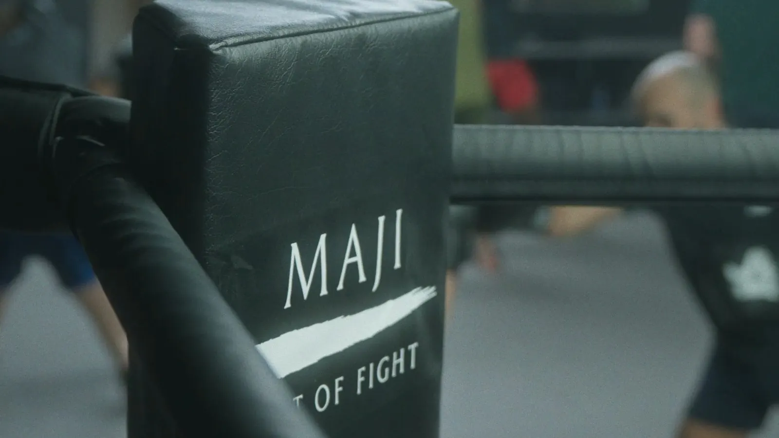 MAJI Art of Fight